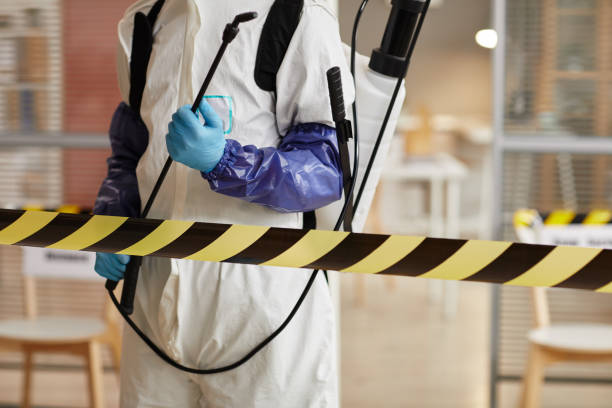 Professional Sewage Cleanup technician working in Mineola, NY